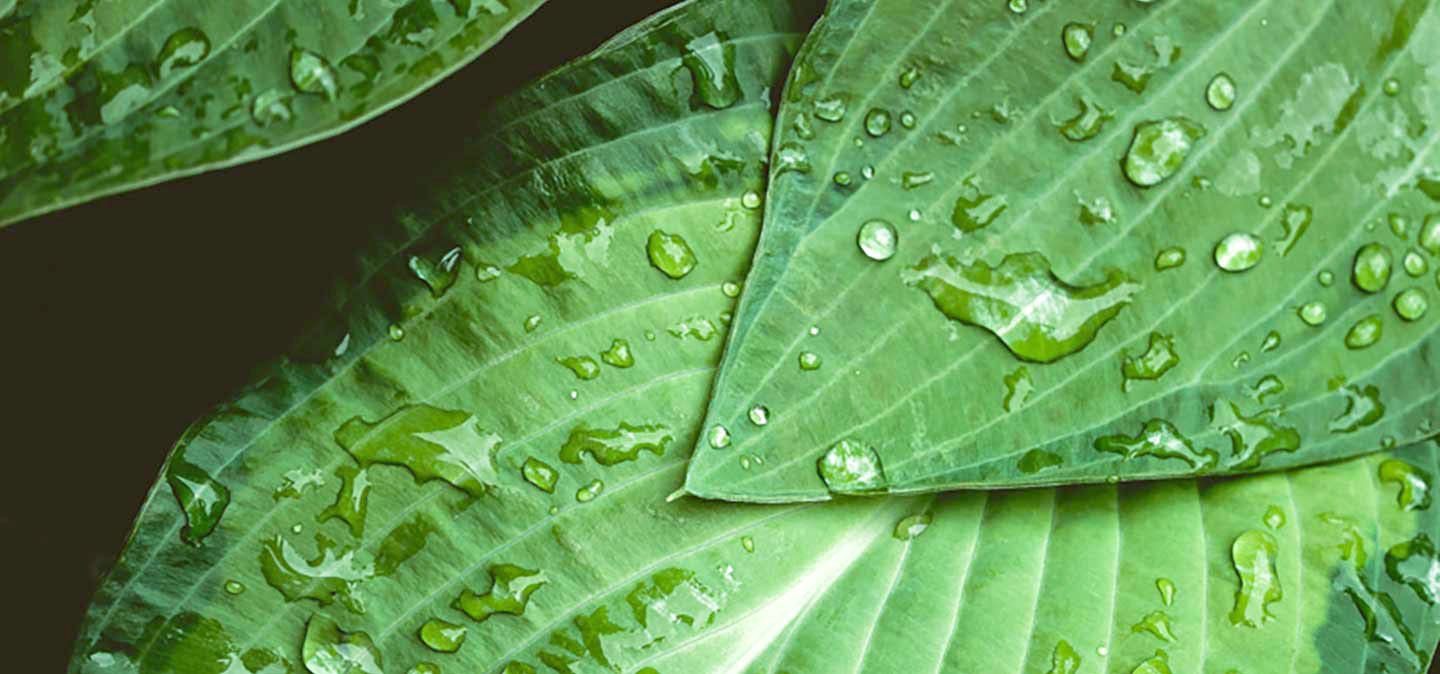 BIFULL PETTINE DA TAGLIO DENTE DOPPIO CENTIMETRATO 17CM - Foto 10