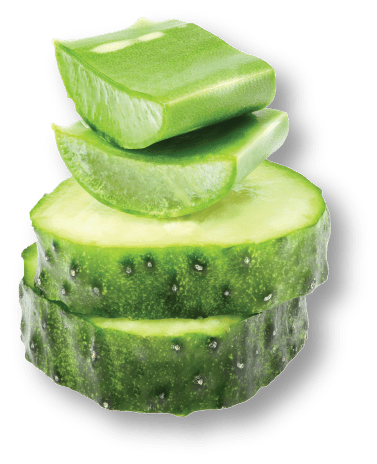 Cucumber Aloe Cleansing Conditioner - WEN®