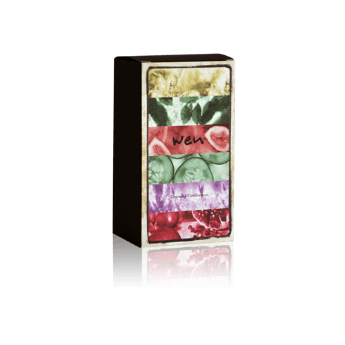 Cleansing Conditioner Variety Travel Pack - WEN®